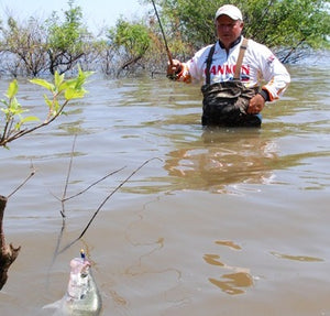 How to Match Crappie Fishing Tactics with B’n’M Products (Part 2)