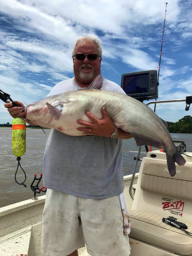 Search Tactics for Summer Catfish – Part 2