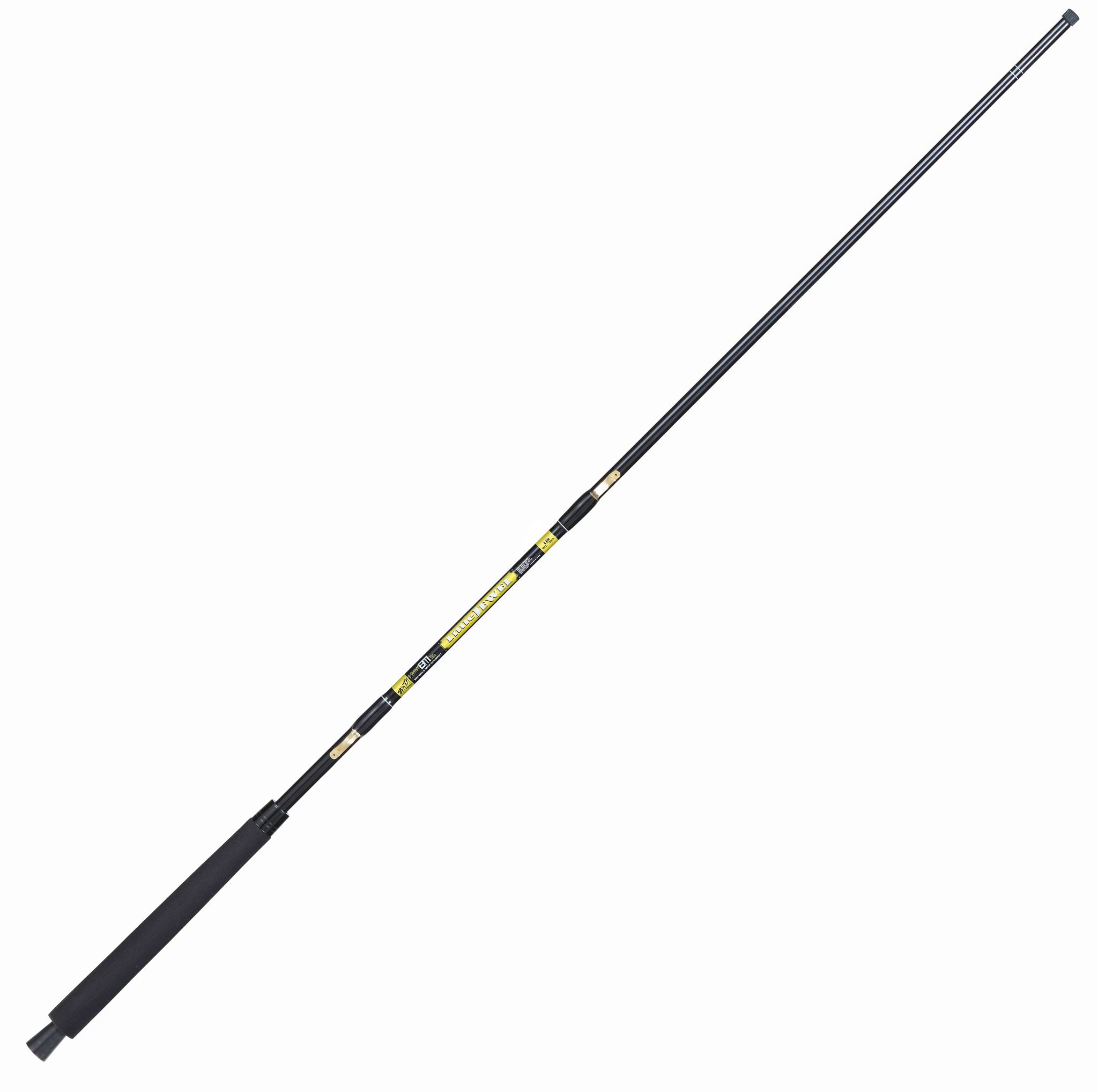 Buy plplaaoo Fishing Pole,Fishing Rod,Mini Fishing Rod,Small